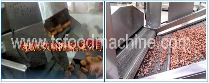 Ce Auto Temperature Control Belt Namkeen Fryer and Snack Frying Machine