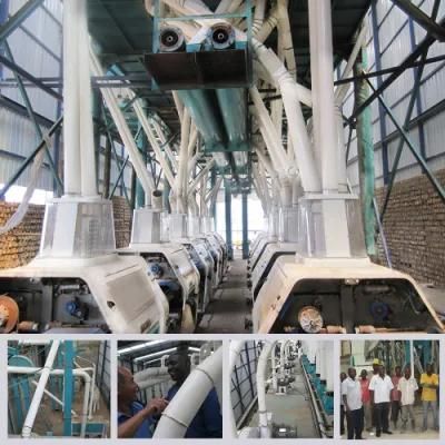 Complete Auto Big Flour Mill Wheat Flour Mill (200t)