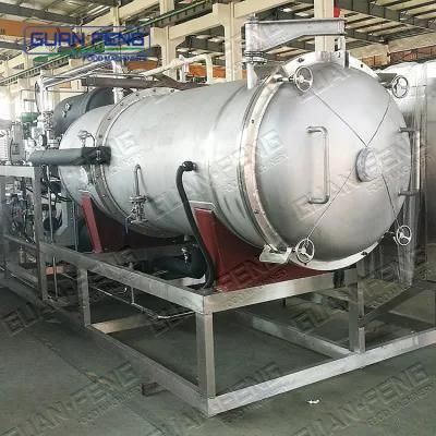 50m2 Vacuum Freeze Dryer Lyophilization Machine for Freeze-Dried Apple Slices