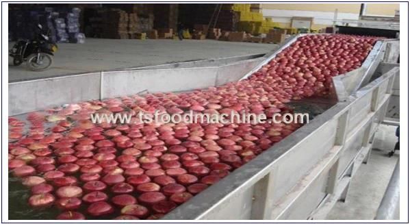 Stainless Steel Raw Potato, Carrot Onion Apple Drying Machine