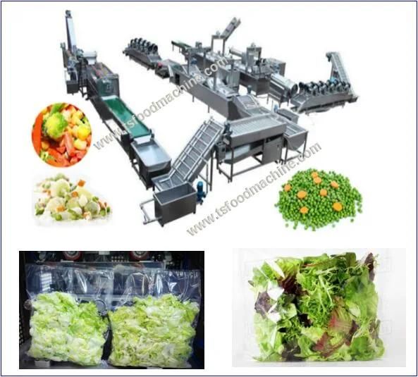 Automatic Industrial Fruit and Vegetable Washing and Drying Machine