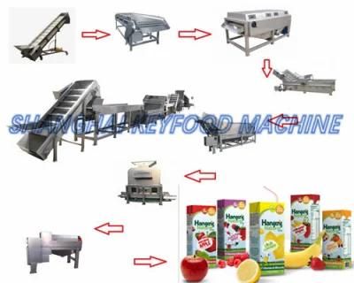 Stainless Steel Fully-Automatic Juice Production Line with Ce