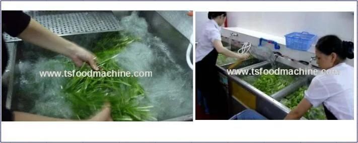 Washing Machinery for Fruit and Vegetable