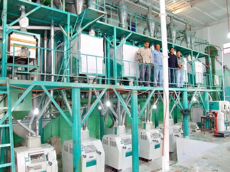 60t Brazil Running Wheat Flour Mill Machine with Price