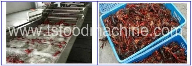 Factory Supply Chicken Feet Washing Machine and Lobster Bubble Washer Machine