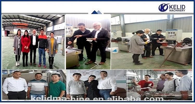 Automatic High Capacity Pet Food Processing Machine