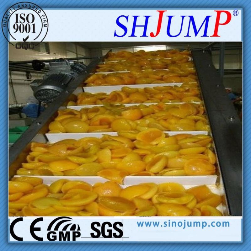 Nectarine/Prunus Persica Processing Machinery