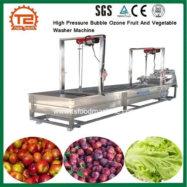 Buy Online High Pressure Bubble Ozone Fruit and Vegetable Washer Machine