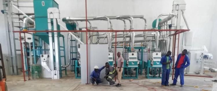 Client Visiting and Seeing Maize Milling Machine Running in Maize Mill Plant