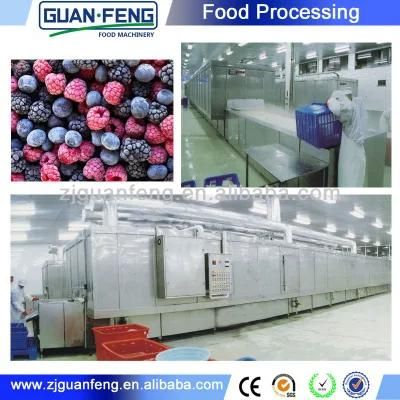 750kg Commercial Tunnel Freezer for Food Quick Freezing Process