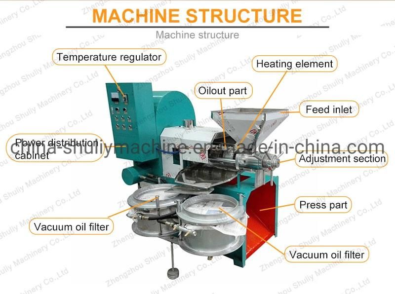 High Quality Cold Press Olive Oil Expeller Machine Peanut Oil Press Machine