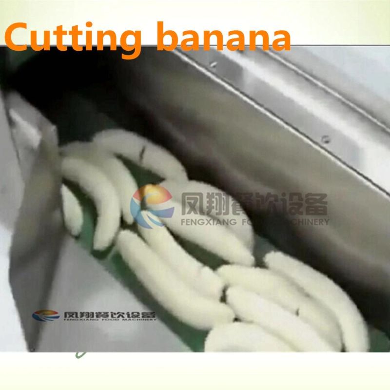 Cabbage Plantain Slicer, Coconut Cutter, Mango Cutting Machine