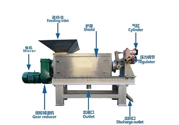 Stainless Steel Screw Press Machine