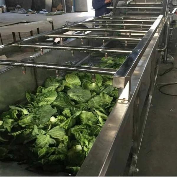 Automatic Industrial Leafy Vegetable Conveyor Washer Spinach Lettuce Washing Machine