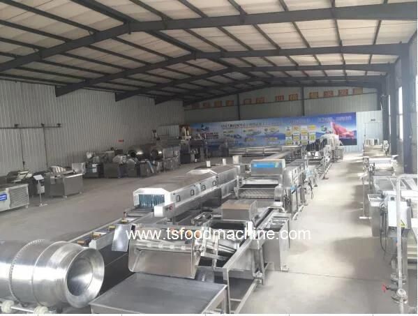 Industrial Vegetable Cleaning Equipment U-Shape Ginger Washing and Peeling Machine