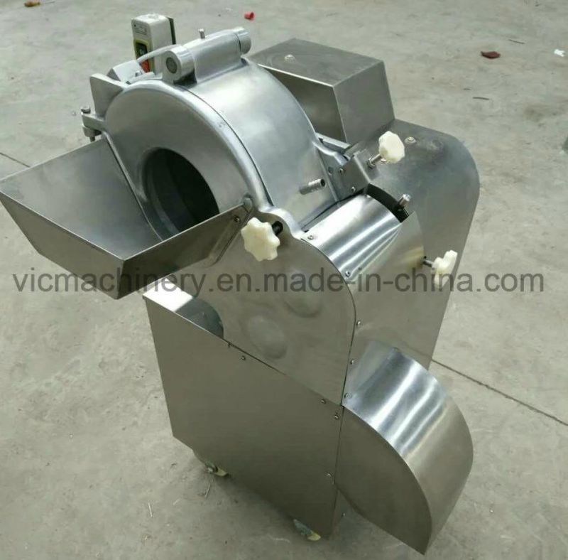 Professional Multifunction Vegetable Cutter SQC120