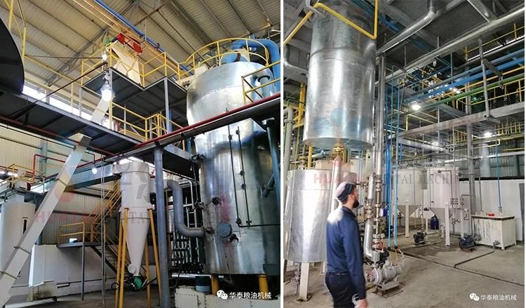 Automatic Casto / Cottonseed /Soybean / Peanut Rapeseed Sunflower Seed Oil Making/Pressing/Extraction/Expeller/Milling Press Machine