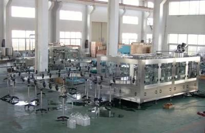 Candied Fruit Processing Machine in Shanghai Factory