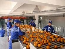 5t/H Natural Orange Juice Production Line