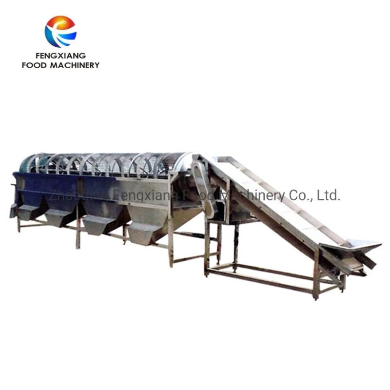 5 Grades Onion Potato Sorting Machine, Fruit Plum Grader Machine