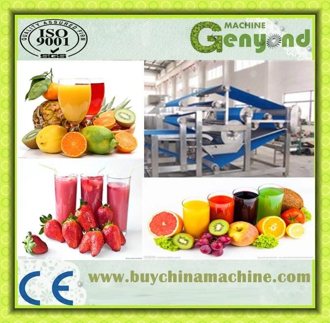 High Efficiency Industrial Belt Type Juicing Machine