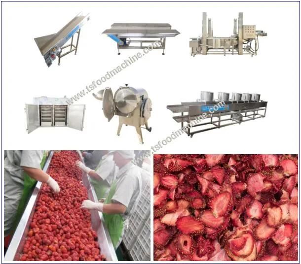 Strawberry Pre-Processing Line Dry Strawberry Chip Processing Machine