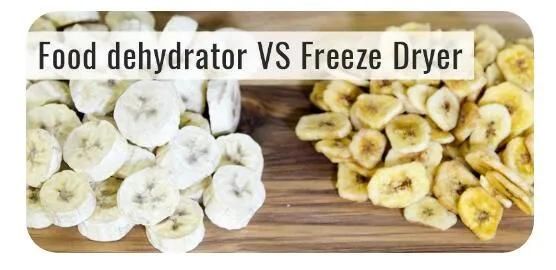 Banana Freeze Dryer Fruit Freeze Drying Machine