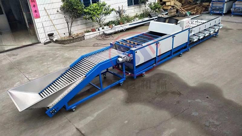 Conveyor Weight Grader Fruit Vegetable Seafood Grading Sorting Machine