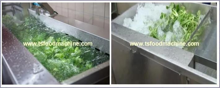 Industrial Fruit and Vegetable Washing Machine and Vegetable Washer