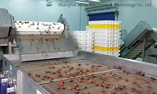 Jujube Sauce/Jujube Paste Production Line/Processing Line