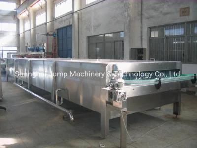 Broccoli Tunnel Frozen Line IQF Broccoli Production Machines Fd Freeze Drying Machines