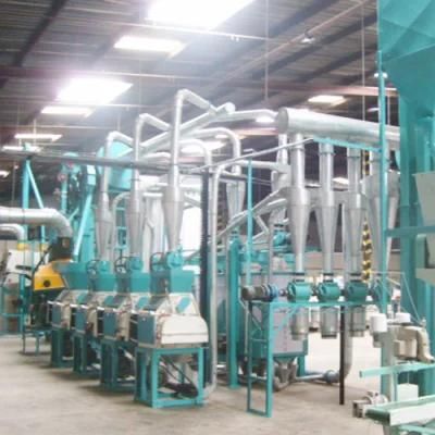 Specialize for Kenya Market of 20t/D Maize Flour Milling Plant