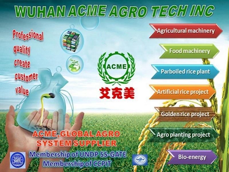 Made in China High Efficiency Olive Sesame Soybean Sunflower Seed Oil Hot Cold Pressing Machine Price for Sale