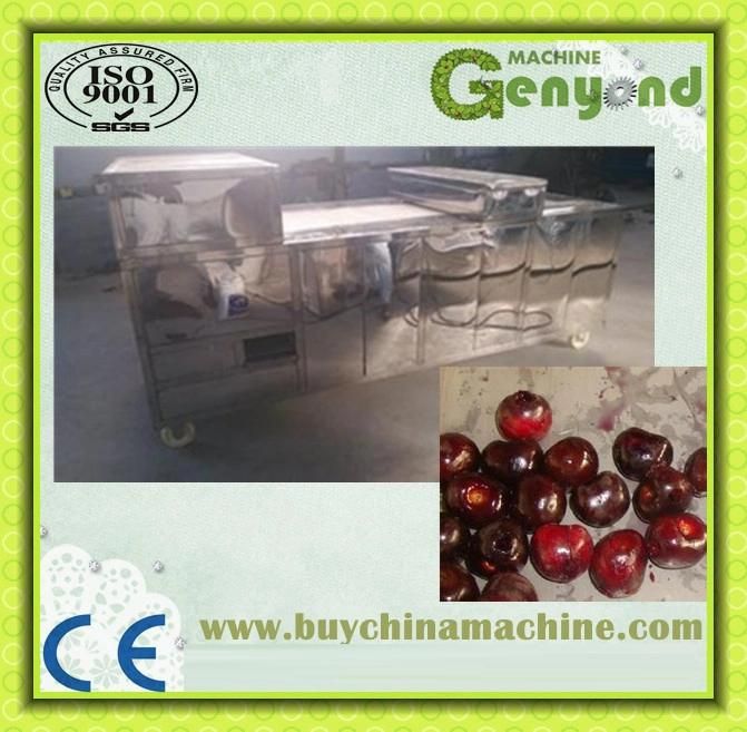 High Efficient Cherry Stem Removing Machine