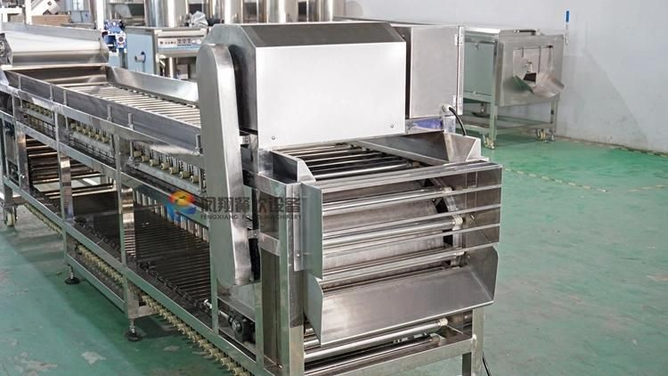 Commercial Roller Type Blueberry Apple Citrus Fruit Sorting Machine