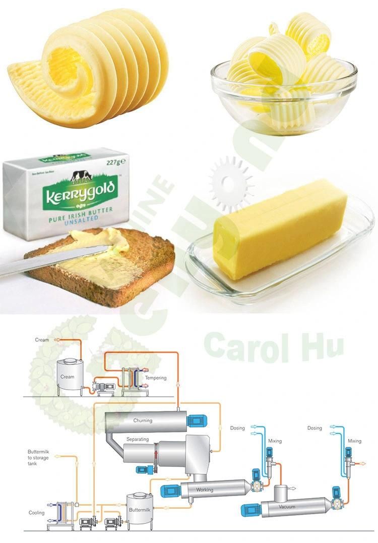 Milk Butter Making Churn Churner Production Line