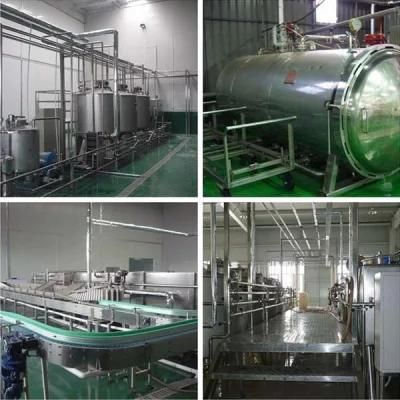 Unit Machines for Small Tomato Paste Plant