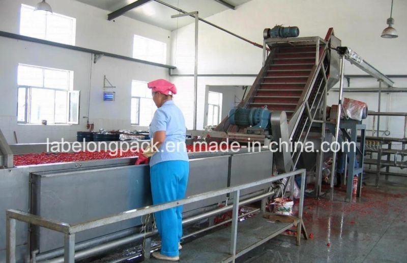 Fruit Pulper/Fruit Juice Machine/Fruit Pulp Machine