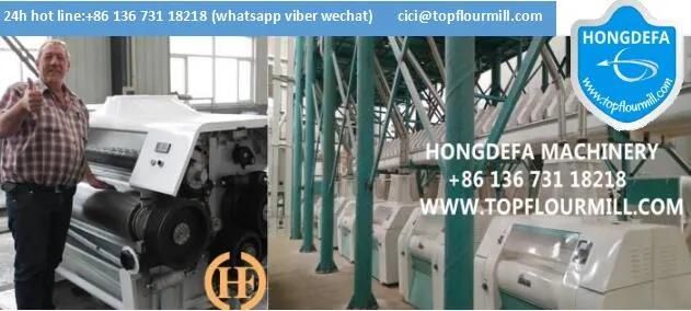 Hot Sale China Maize Milling Machinery (20t)