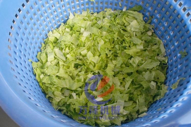 Automatic Salad Cutting Washing Machine Fruit and Vegetable Cabbage Lettuce Processing Line