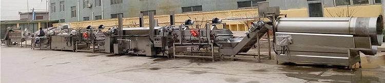 Round and Long Shape Banana Chip Production Line for South America