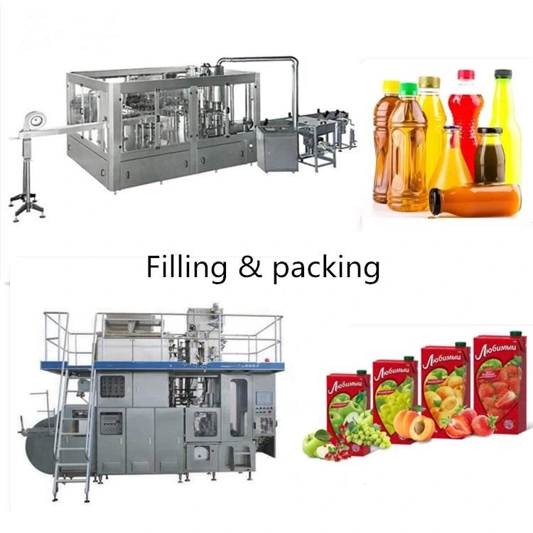 Automatic Complete Mango Juice Equipment