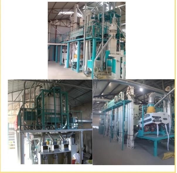 Factory Price 100 T/D Complete Maize Flour Milling Line