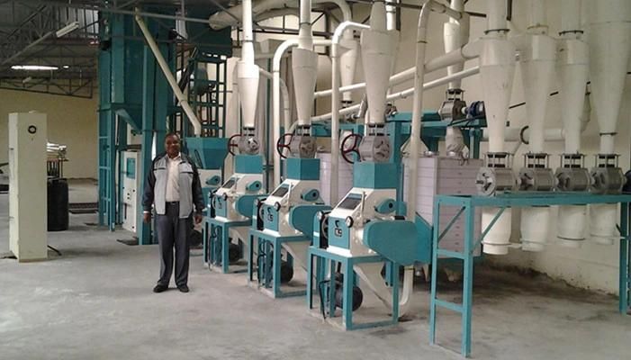 Hotsale China Hongdefa Maize Corn Flour Milling Plant for Africa