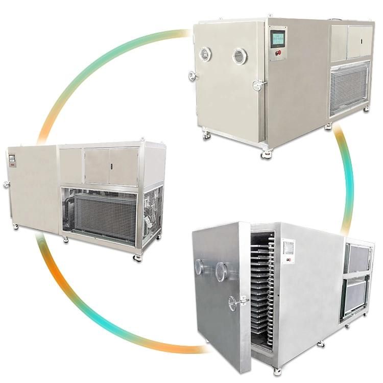 Fruit Dehydrator Machines Vacuum Food Lyophilizer Price Vegetable Freeze Drying Machine