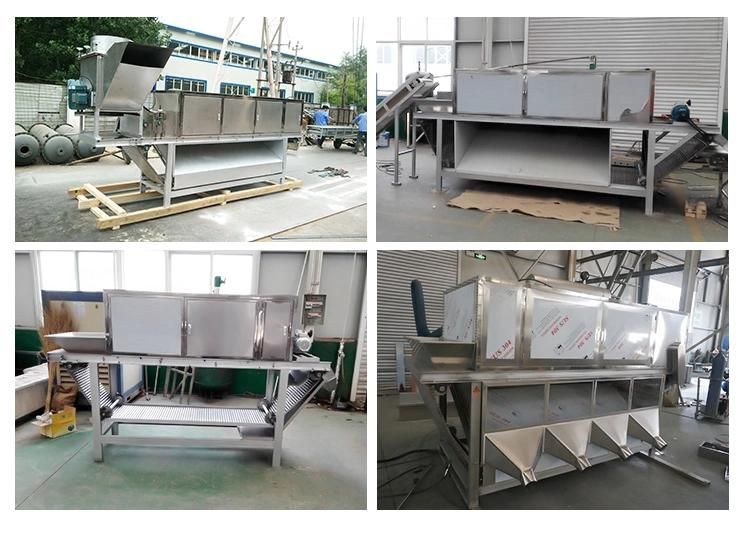 High Quality Garlic Peeling Production Line1t / H Garlic Peeling Machine