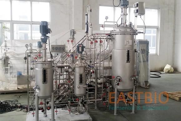 Gujt Mechanical Stirred Stainless Steel Fermentor Tank for Pilot Plant Scale