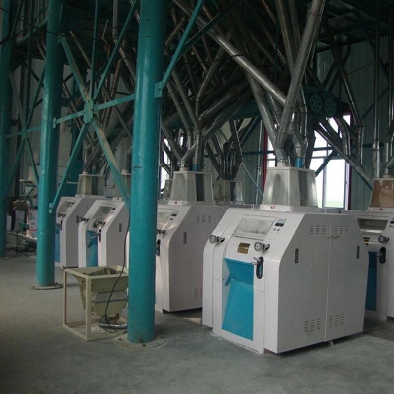 Maize Milling and Peeling Machine Flour Making Machine