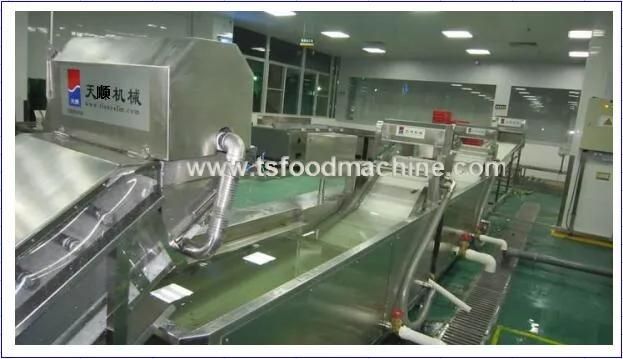 Washing Machinery for Fruit and Vegetable