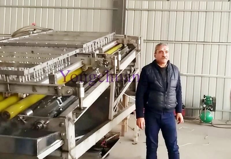 Automatic Shrimp Peeling and Deboning Machine